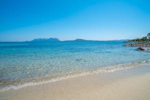 Appartamento del Pellicano img20
