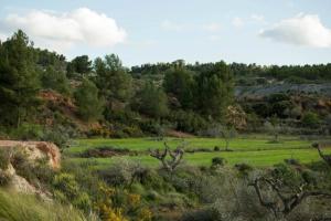 Ecoagroturismo Las Nieves