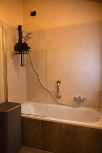 Central Penthouse Luino