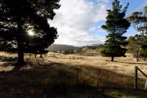 Heimat Rural Retreat - Wallaby Way Chalet