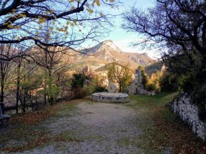 Le Vieil Olivier