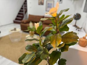 M B Homes Lauterstein 8