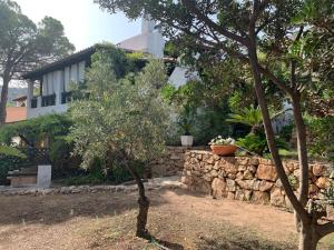Villa Marina img15
