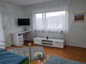Ferienhaus Falkenstein bis 16 Pers