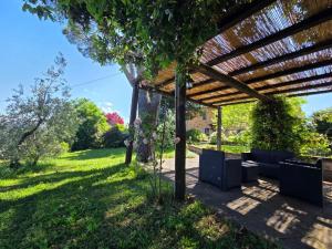 Tra gli ulivi e il panorama