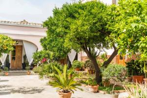 La Campidanese img21