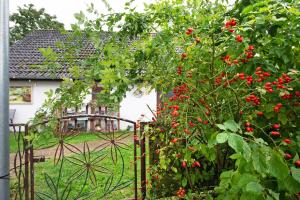 Haus Hinz Fe-Wo an der Ostsee
