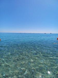 Tra Ulivi E Mare