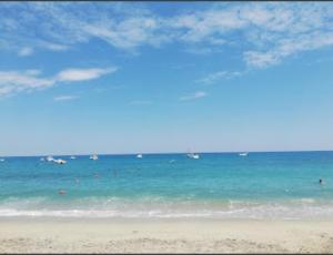 Tra Ulivi E Mare