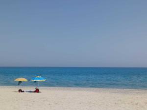 Tra Ulivi E Mare