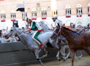 Appartamento del Campo - Siena img36
