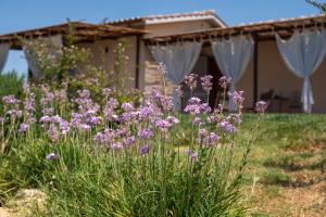 Agriturismo Giusti