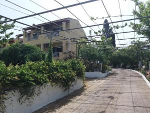 Athineos Studio