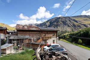 Sole tra le Cime - Trepalle