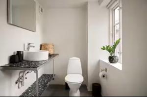 Penthouse with balcony in the heart of the city