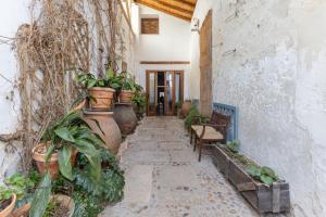 El Sueño De Lucrecia - habitaciones