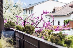 Ferienwohnung Lanz 3