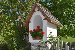 Ronacherhof Apt Ringelblume