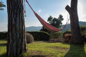 Il Grifo - Cozy house, wonderful view