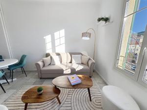 Cannes 3 BR 3 bath close to Palais & Croisette by Olam Properties