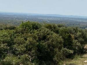Vivi Natura img32
