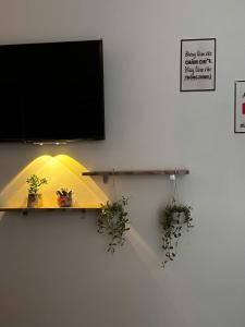 LEON Homestay