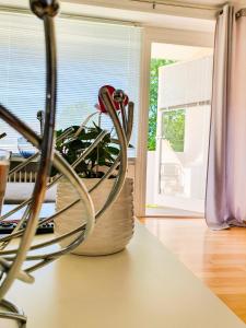 Enjoy the beauty of Überlingen