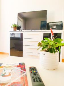 Enjoy the beauty of Überlingen