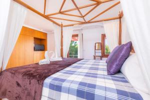 Can Pedro - Alta Vista