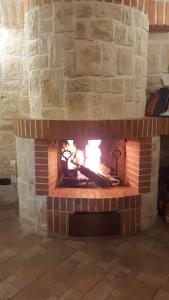 Anzio Beach - Apartments