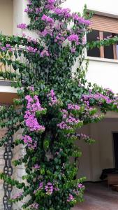 Charming Lake Garda Apartment