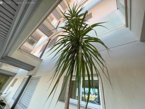 Apartamento Isla Feliz