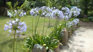 Ty Annick chambres dhôtes