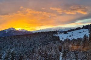 Haughof Apartement Lärchenweide
