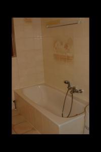 Fewo´s Säntisblick und Reblaube