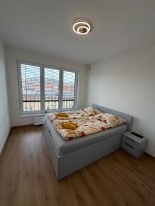 Fresh New apartment in the city centrum