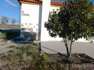 Casa De Campo Das Oliveiras