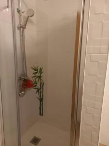 Casa De Campo Das Oliveiras