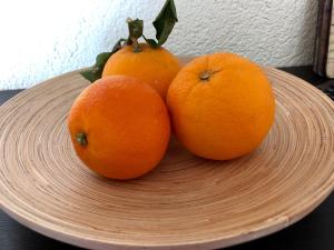 Ferienwohnung Beyer Friedrichroda