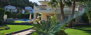 Ainara Luxury