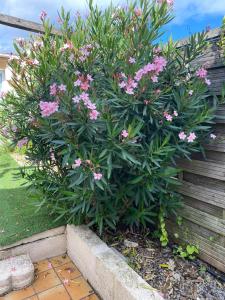 Appartement - Villa Muguet