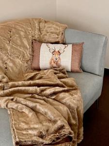 Fewo Tannenduft - Freudenstadt