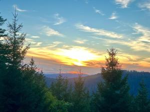 Fewo Tannenduft - Freudenstadt