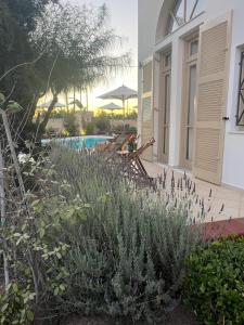 Aoni Suites