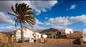 Casa Dayaday
