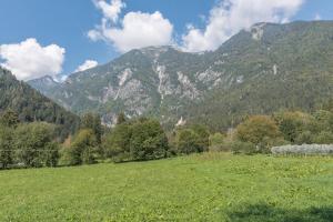 Appartamento Adamello 10