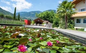 Weinsepphof Ferienwohnung 2