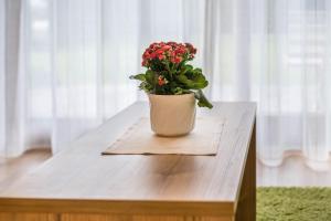 Haus zur Vogelweide App 1