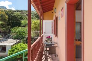 Casa Zaida Olivos