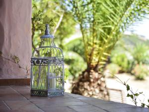 Finca Fiori 1 img5